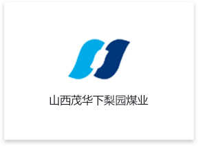 山西茂华下梨园煤业