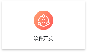 软件开发